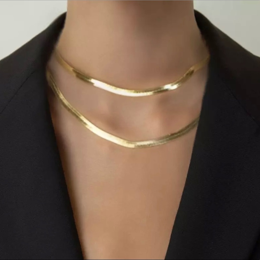 Double Layer Snake Chain Necklace